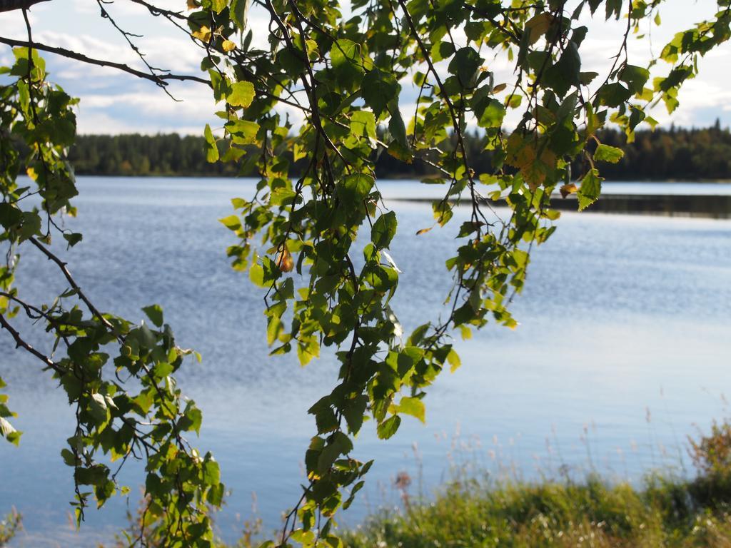 洛马-维耶托内度假村 Meltosjärvi 外观 照片